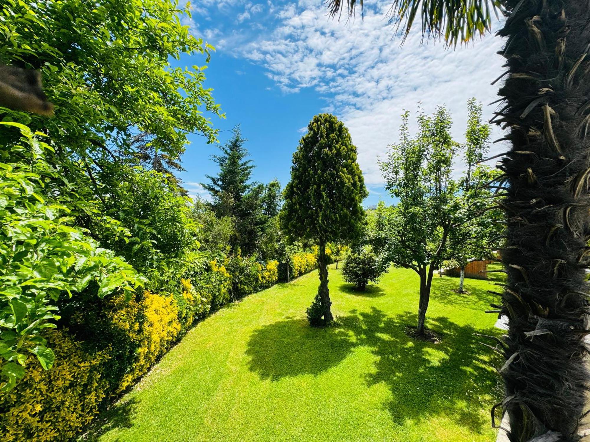 Treekos Suite Hotel Istanbul Airport Arnavutkoy Exterior foto
